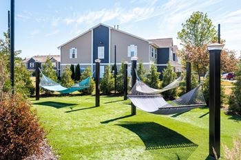 Picnic and hammock area